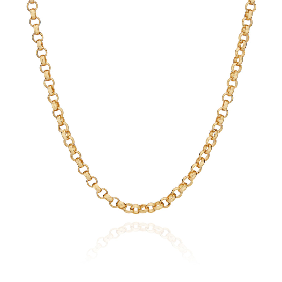 Rolo Chain Collar Necklace - Gold