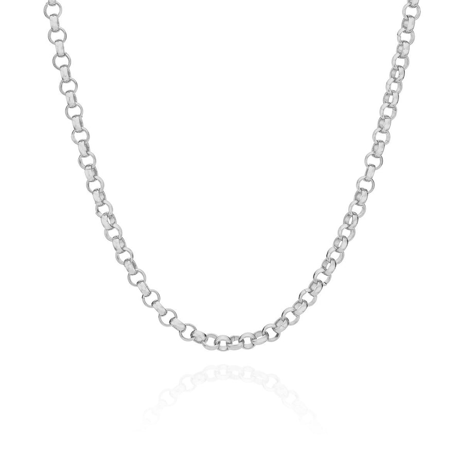 Rolo Chain Collar Necklace - Silver
